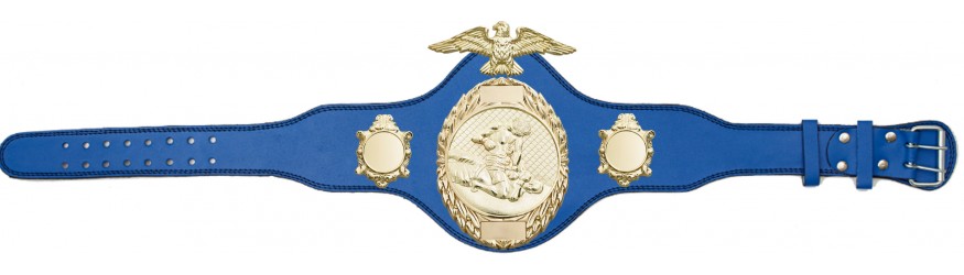 MMA CHAMPIONSHIP TITLE BELT-PLT288/G/MMAG-4 COLOURS